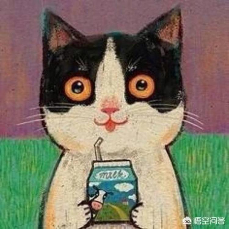 猫咪打疫苗需要注意什么事项吗,猫咪打疫苗的各种注意事项