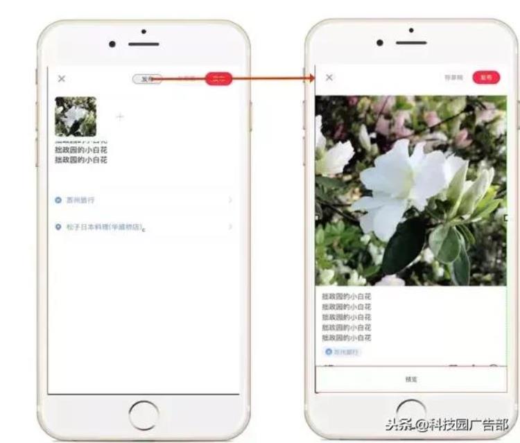 小红书app产品分析报告,小红书app 分析