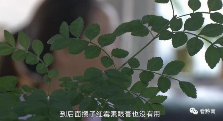 纹眉过敏是色料不好还是皮肤过敏,纹眉后身上出现过敏症状