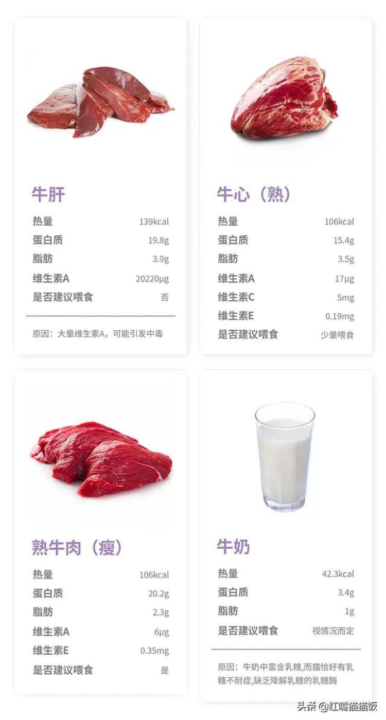 猫吃牛排肉,猫咪吃猫粮还建议喂肉吗