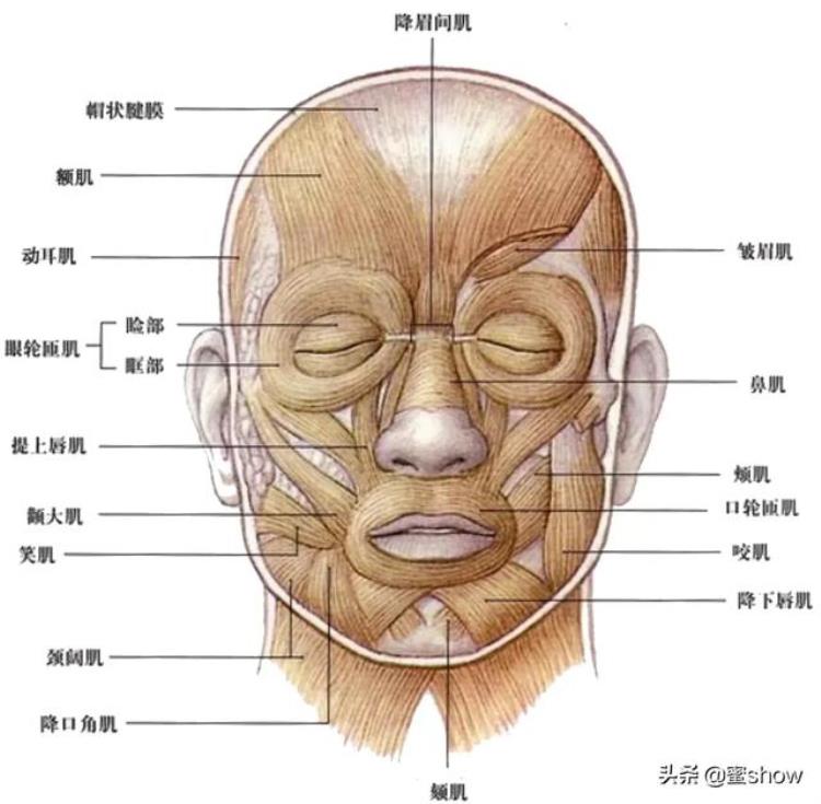 如何控制面部笑容,为什么面部表情看见人就不自然