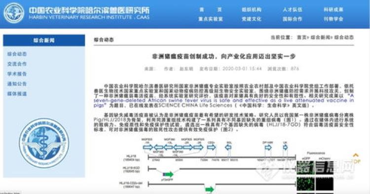 不同的猪瘟疫苗有什么区别吗,猪瘟疫苗选择哪种