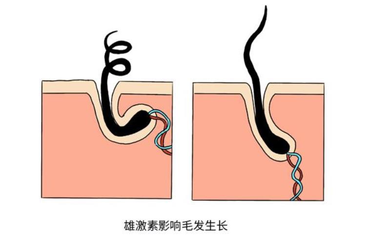 男性50岁以后眉毛变长意味着什么,男人50岁眉毛长意味着什么