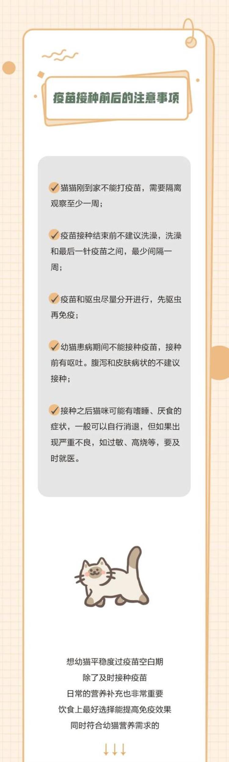 猫疫苗是怎么打的,猫咪打疫苗必须知道的常识