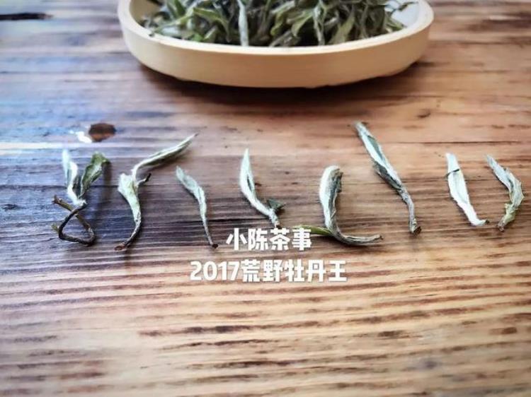 茶叶泡完有白沫,如何判断白茶是否变质