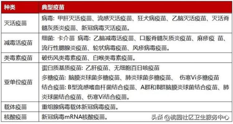 打新冠疫苗发烧后起红疹怎么办,新冠1-7天表现症状图