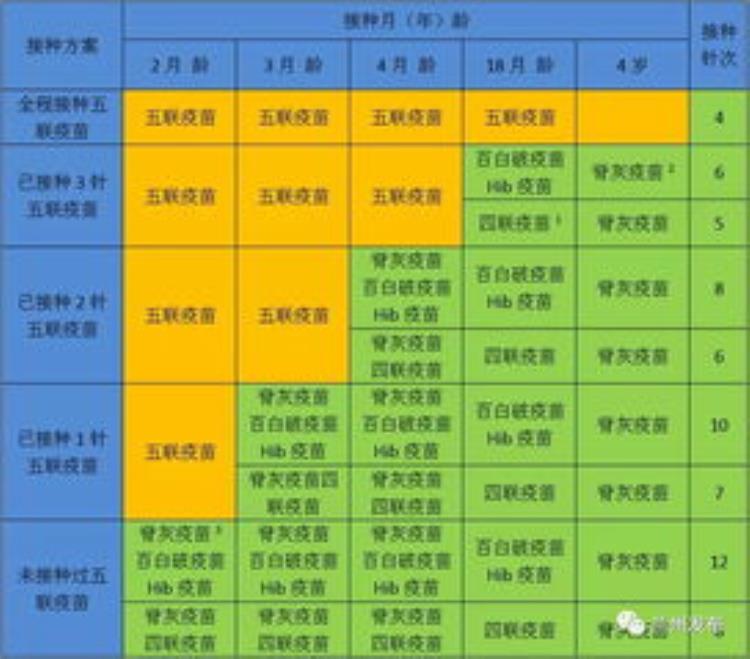 五联疫苗一直没货「五联疫苗断货」