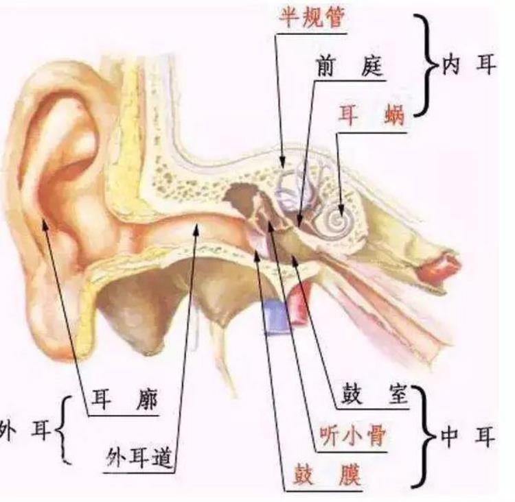 高速路上晕车,在高速防止晕车的方法