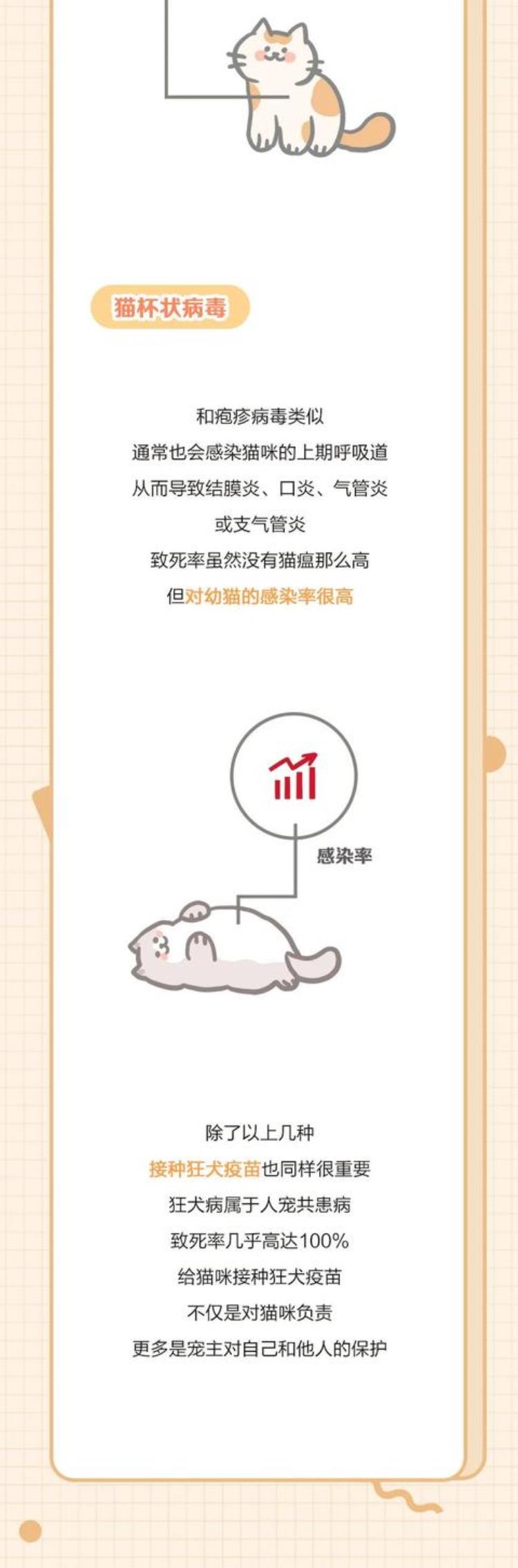 猫疫苗是怎么打的,猫咪打疫苗必须知道的常识