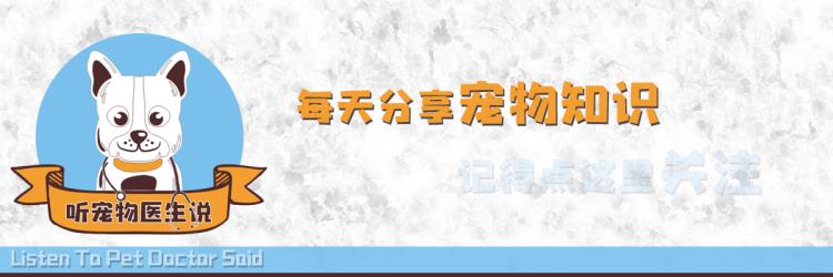 狗四联疫苗打几针啊,狗狗重复打四联有事吗