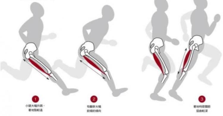 大腿后侧腘绳肌拉伤了,怎么办?,大腿腘绳肌肌腱拉伤