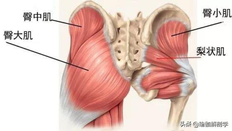 练臀部腰疼,腰在右边腰疼要警惕四种原因