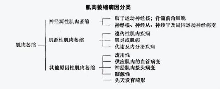 哪些疾病会引起肌肉萎缩「肌肉萎缩什么疾病引起的有哪些症状该如何处理你想要的答案」