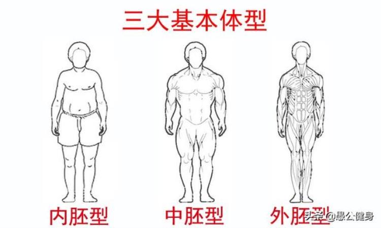 焦虑每天举哑铃却练不出肌肉来,每天举哑铃胳膊力量变小原因