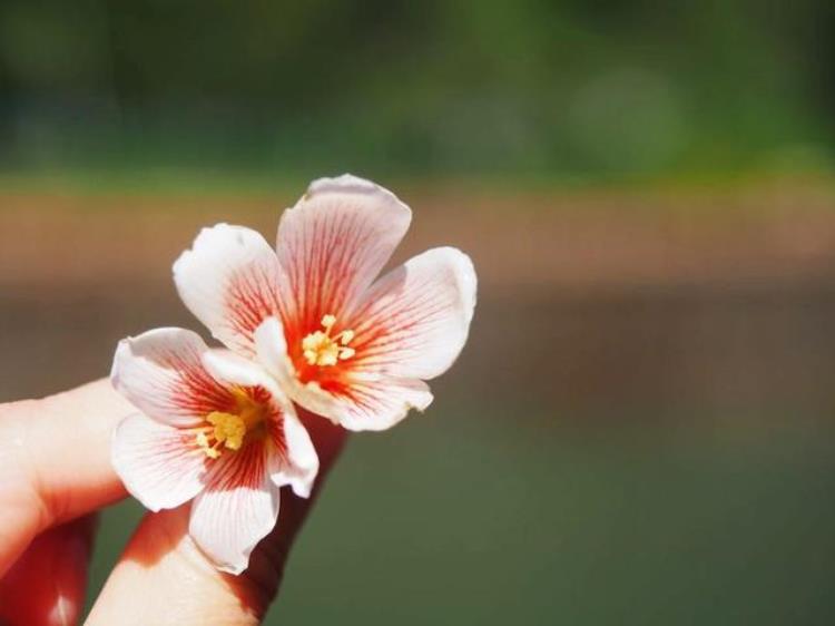 南昌人的后花园山清水秀还免费名字就叫月亮湾