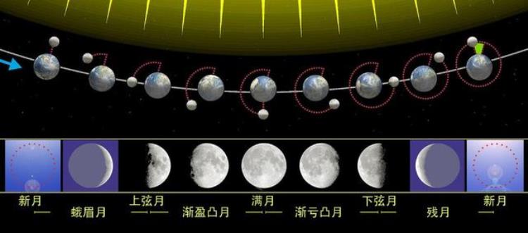 为什么说月球其实也是绕着太阳公转「为什么说月球其实也是绕着太阳公转」