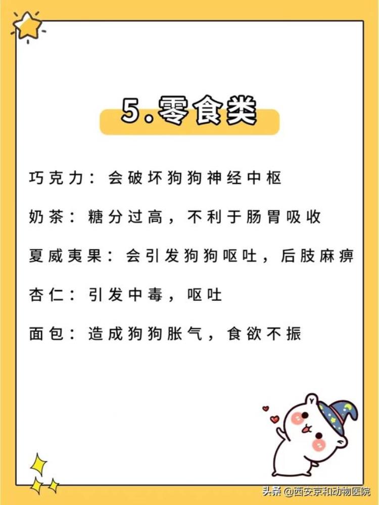 狗狗不可以吃的食物清单「警惕新手养狗/狗狗不能吃的食物清单」