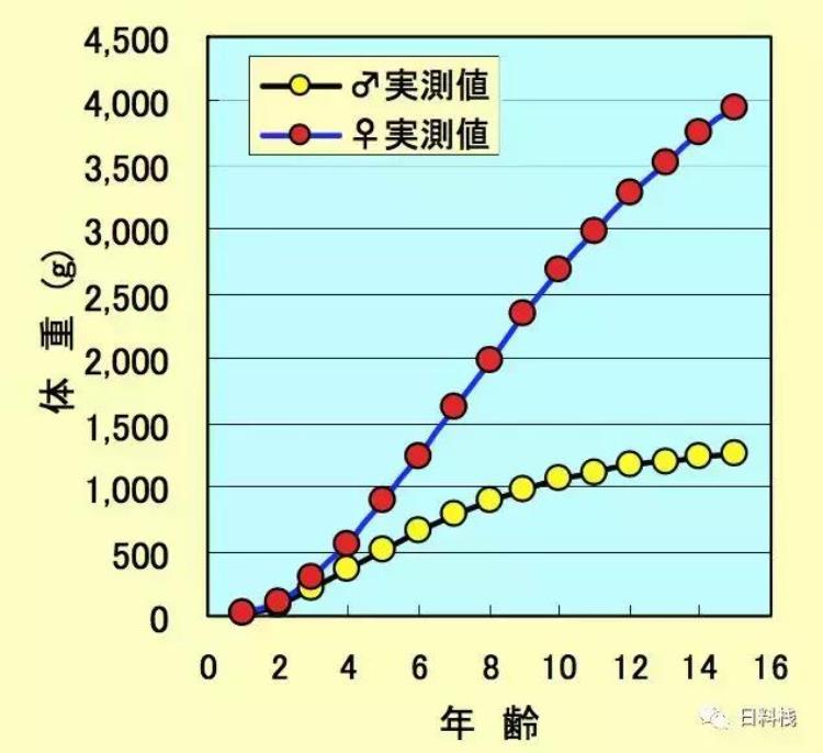 海鳗 刺多「海鳗|虽然多刺到令人发指依然是京都夏季风物诗」