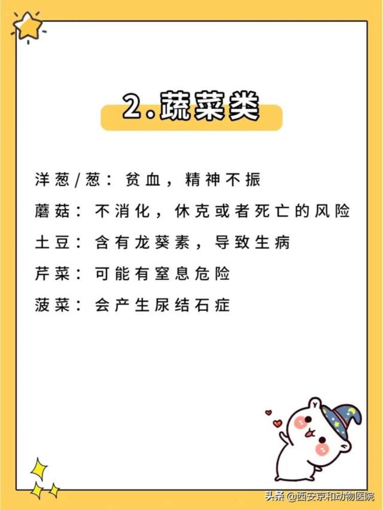 狗狗不可以吃的食物清单「警惕新手养狗/狗狗不能吃的食物清单」