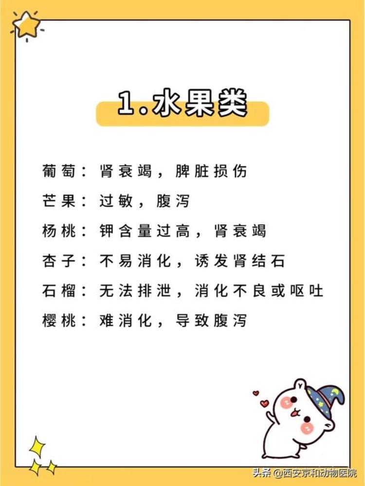 狗狗不可以吃的食物清单「警惕新手养狗/狗狗不能吃的食物清单」