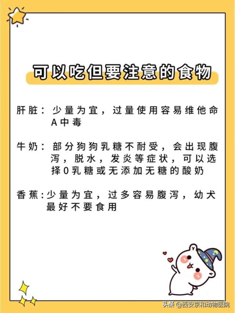 狗狗不可以吃的食物清单「警惕新手养狗/狗狗不能吃的食物清单」