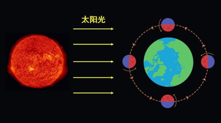 为什么太阳总是圆的而月亮有的是半圆有的是圆的呢「为什么太阳总是圆的而月亮有时圆有时只有半个」