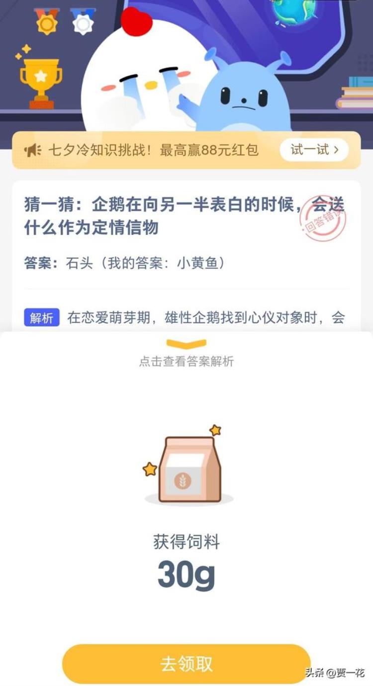 送企鹅代表啥「企鹅表白的时候会送什么作为定情信物蚂蚁庄园8月4日小课堂」