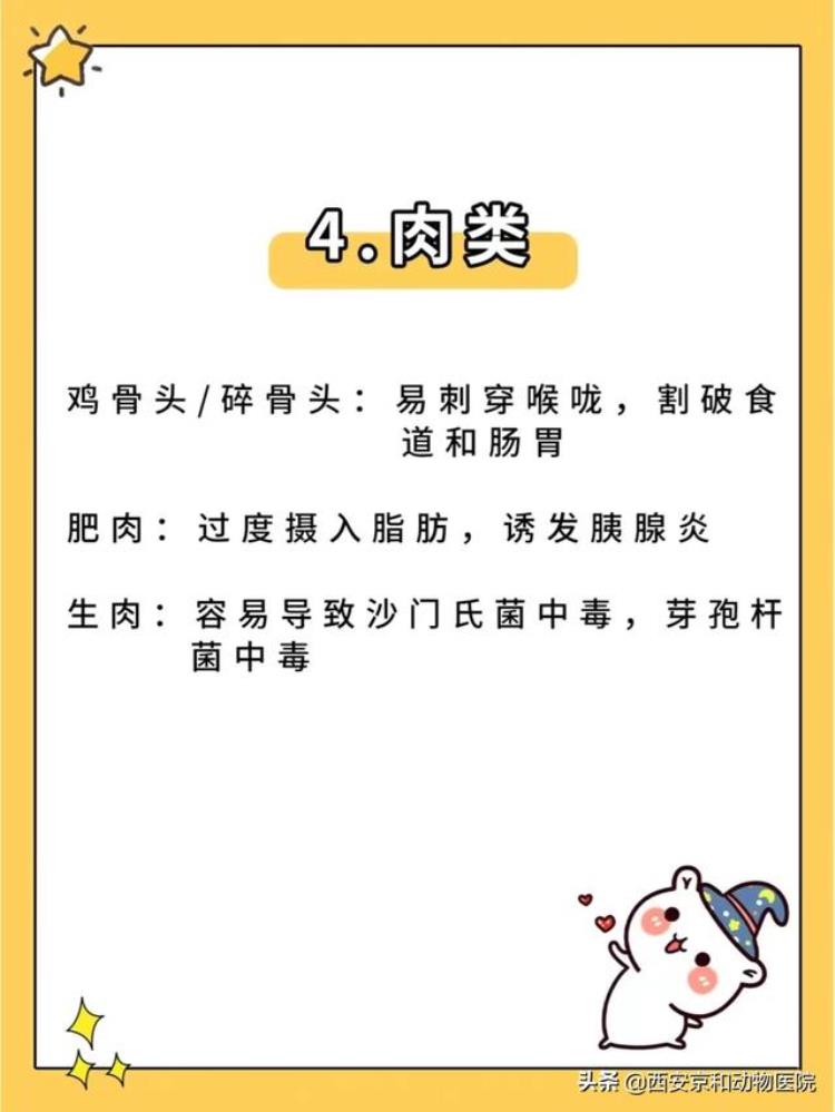 狗狗不可以吃的食物清单「警惕新手养狗/狗狗不能吃的食物清单」