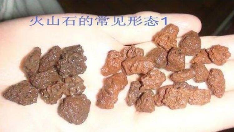 鱼缸的底沙「高手揭秘你罗缸里的底沙是假的」