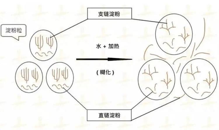 面包种种配比「你不知道的面种面包的N种组合叫你征服面包」