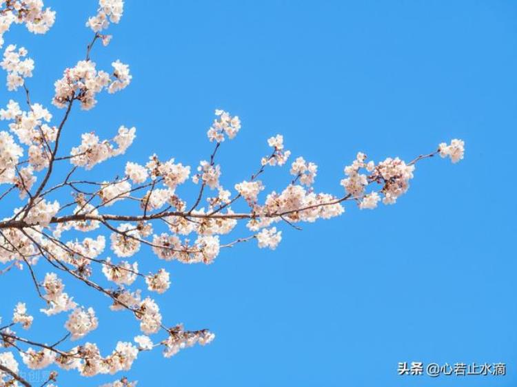 一年四季怎么划分月份春夏秋冬如何形成「一年四季怎么划分月份春夏秋冬如何形成」