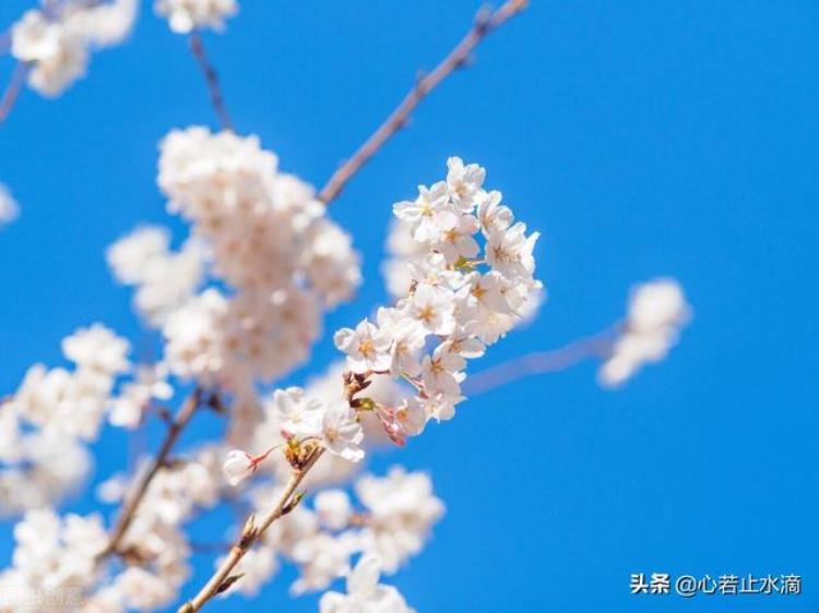 一年四季怎么划分月份春夏秋冬如何形成「一年四季怎么划分月份春夏秋冬如何形成」