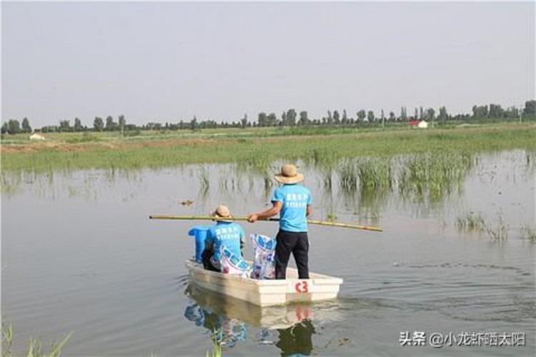 小龙虾浮出水面「水里明明有小龙虾为什么捕捞不上来这几个小技巧绝对管用」