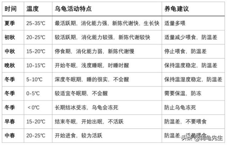 中华草龟怎么养好「中华草龟太难养草龟饲养不求人选龟养龟全套方法技巧干货分享」