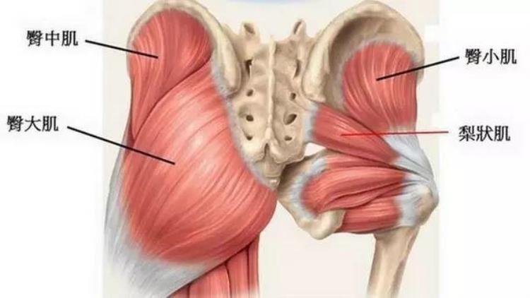 跑步运动时臀部会感到一阵疼痛感