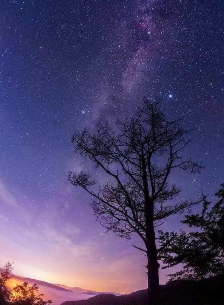 牛郎星和织女星的命名「古人为什么会把这两颗星命名为织女星和牛郎星」