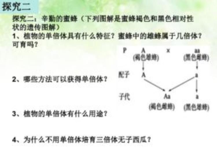 高三生物染色体变异「高考生物染色体变异专题详解学起来」