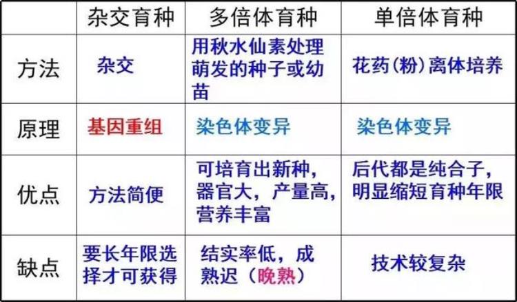 高三生物染色体变异「高考生物染色体变异专题详解学起来」