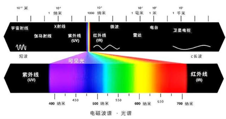 大熊猫的黑白皮毛有什么作用「大熊猫素有活化石之称为何毛发却以黑白色为主有保护作用吗」