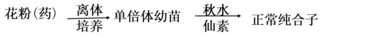 高三生物染色体变异「高考生物染色体变异专题详解学起来」