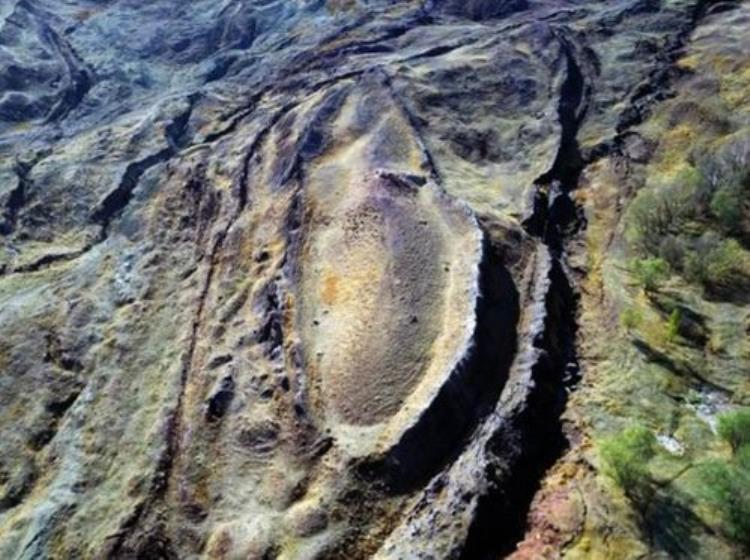 为野生生物种质资源打造生命之舟「为野生生物种质资源打造生命之舟」