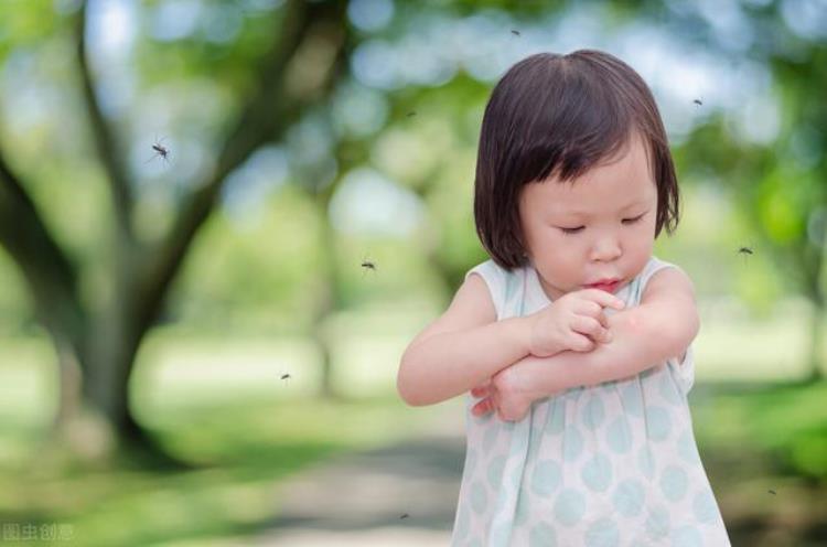 花蚊子特别多「农村的花蚊子越来越多过去没见过现在成了灾赶快防治」