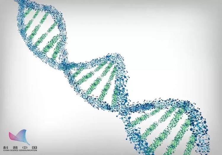 把种子带到太空有什么用「把种子送上太空到底有啥用种出来的东西更大远不止这些」