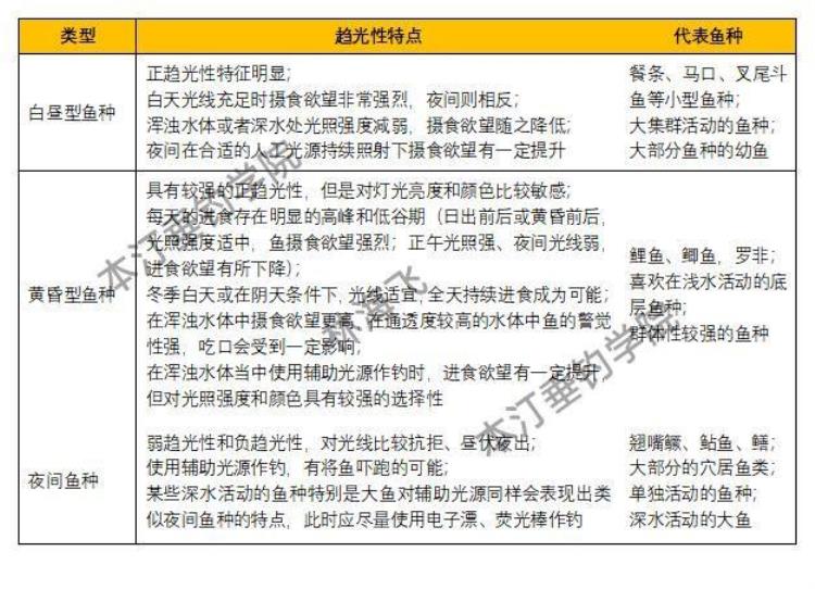 灯光对钓鱼的影响「第08章上灯光对作钓的影响」