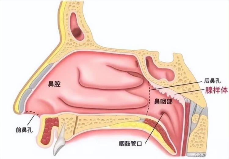 速查这个睡眠习惯让娃变丑生长发育迟缓很多家长不知道