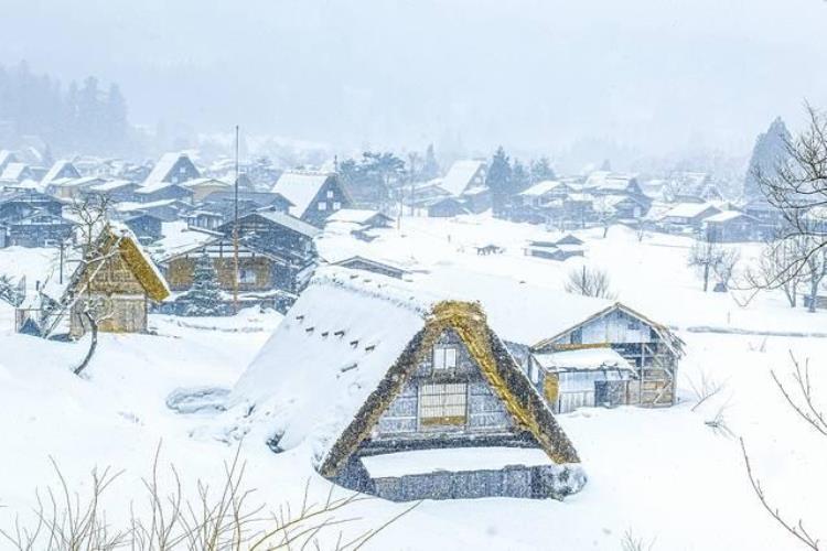 日本滑雪温泉「迎着飞雪泡温泉日本冬季小众游」