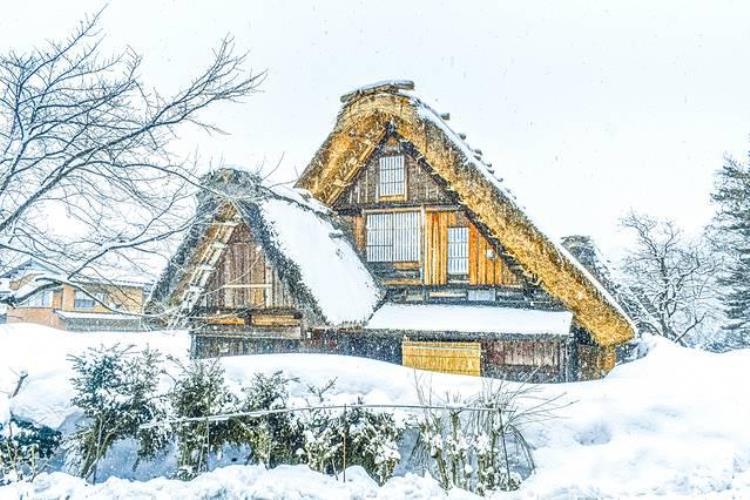 日本滑雪温泉「迎着飞雪泡温泉日本冬季小众游」