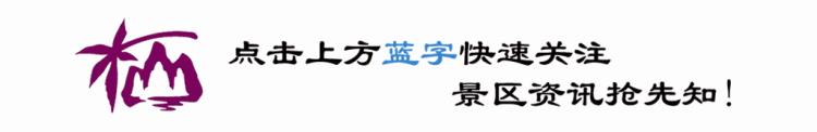 为什么能吸引全世界那么多的人来信奉佛教来栖霞寺我明白了