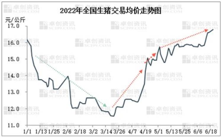 豆角市场价「春节临近各种豆角价格居高不下有的地头价冲破10元/斤」