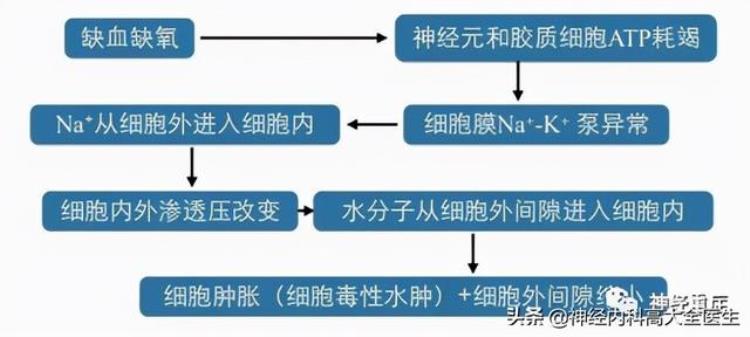 脑水肿产生机制「脑水肿形成机制与分类」